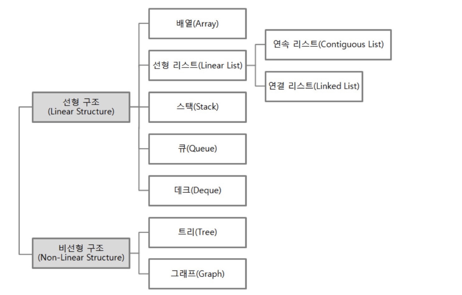 [자료 구조의 분류]